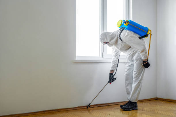 Reliable Midwest City, OK Pest control Solutions